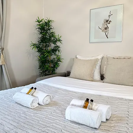 Spacious Flat Near Porte De Versailles *