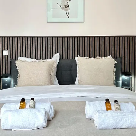 Spacious Flat Near Porte De Versailles