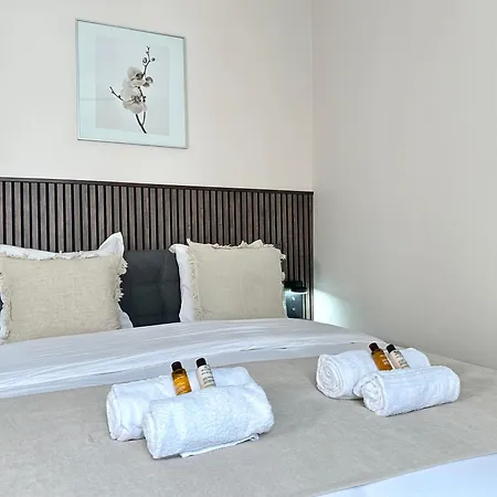 Spacious Flat Near Porte De Versailles *